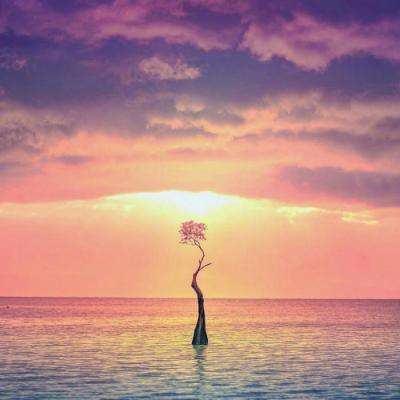 pk10赛车下载手机版